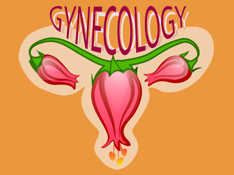 An illustration of what is gynecology using flower heads for the various reproductive parts
